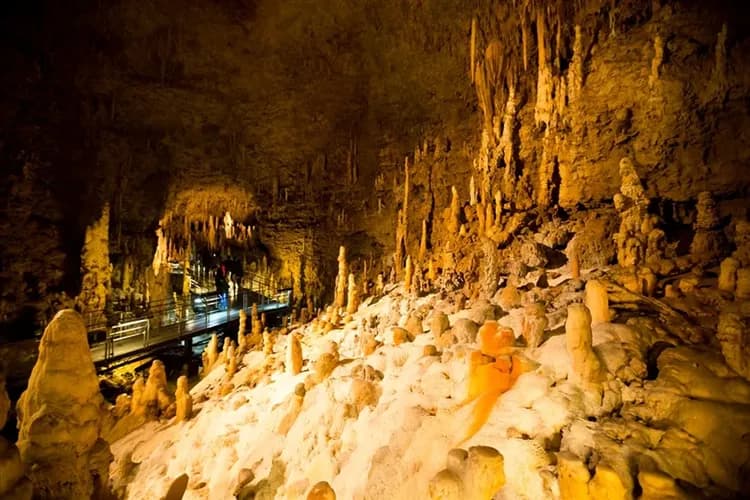 連休沖繩旅遊｜全新～2025沖繩首座叢林JUNGLIA樂園｜神宮祈福．文化體驗．美之海博物館四日｜升級A級渡假飯店一晚-7