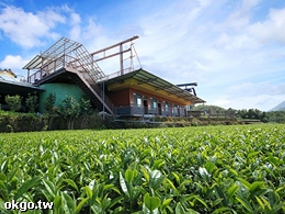 嘉義縣-許家茶園民宿｜綠色隧道10分鐘車程