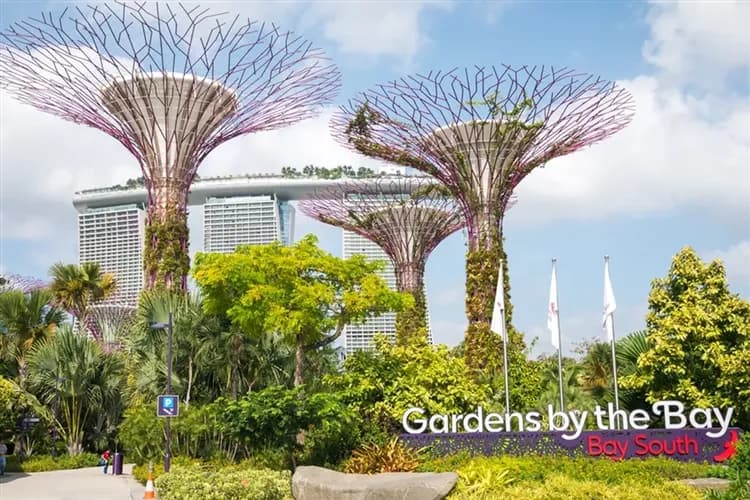 迪士尼遊輪｜探險號｜海上巡航｜吉隆坡．馬六甲．新山｜團體遊8日-7
