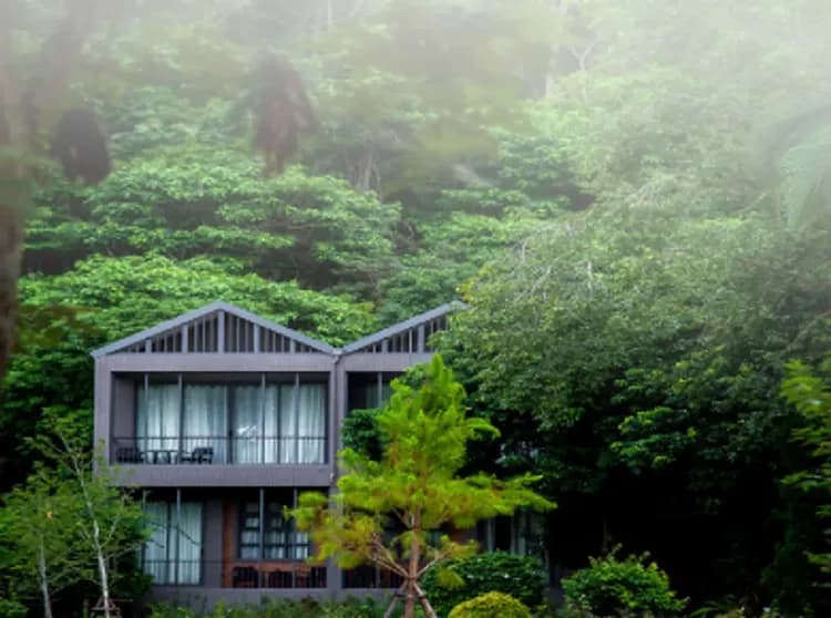 Flora Creek Chiang Mai