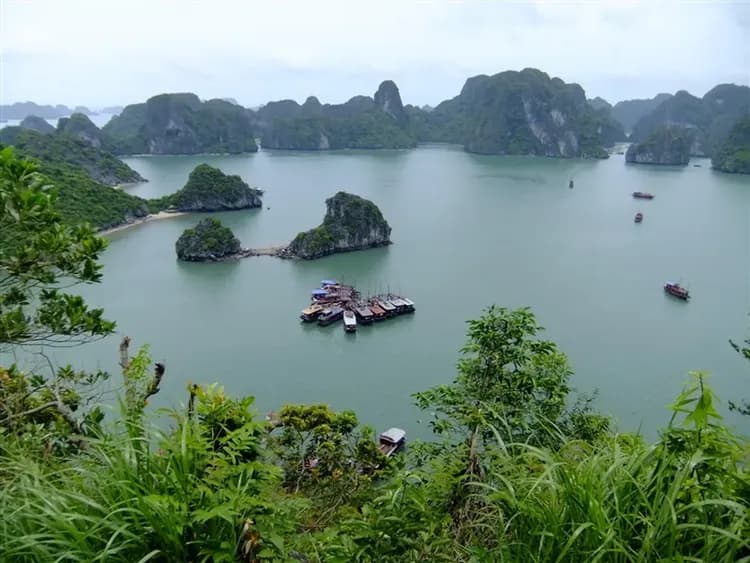 越南旅遊｜海上桂林下龍灣‧日遊船出海體驗‧長安湖輕舟探祕‧壽司饗宴單點吃到飽六日｜高雄出發-15