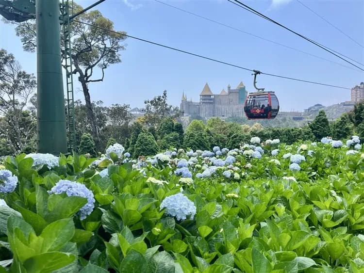 越南旅遊｜中越.海雲號懷舊觀光列車.順化古都.會安古鎮.巴拿山法國山城六日｜台中出發