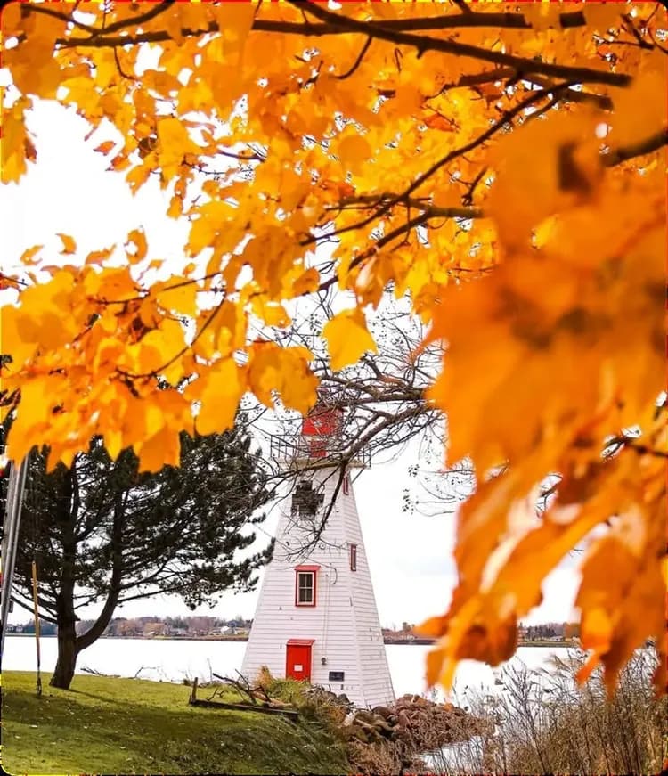 玩美加族｜藍寶石公主｜楓華加東、海洋三省．愛德華王子島｜團體遊18日-6