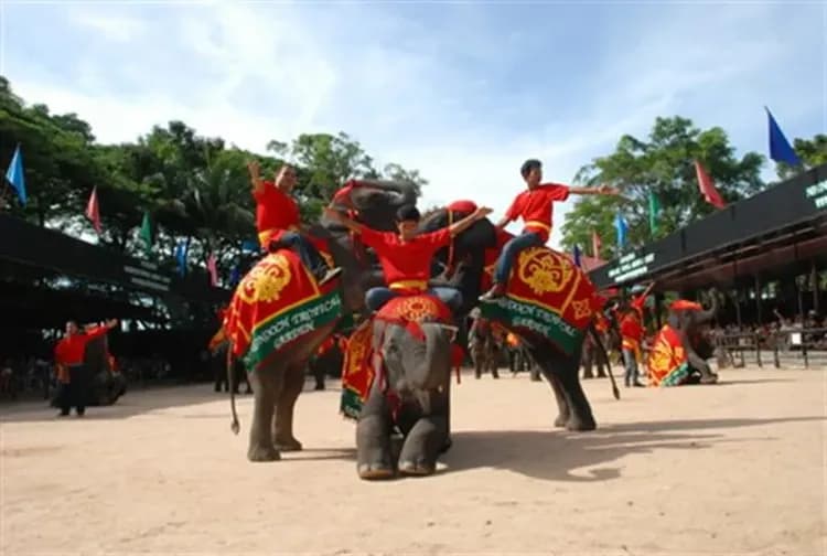 東芭樂園(遊園車、文化表演VIP席、大象表演、迷你動物區、蘭花園、恐龍天地)