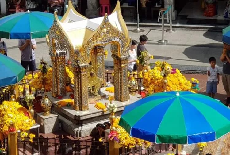 KHH曼芭FUN暑假～大城長頸鹿、泰式雙享風情、小象餵食體驗、曼谷五星飯店五日-11