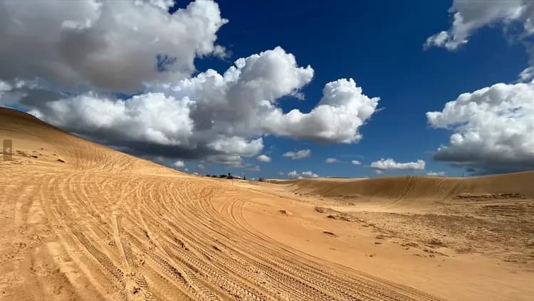 美奈(白沙灘吉普車+RD葡萄酒城堡)