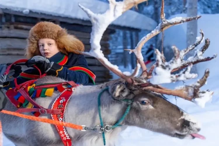 馴鹿-自然生態旅行