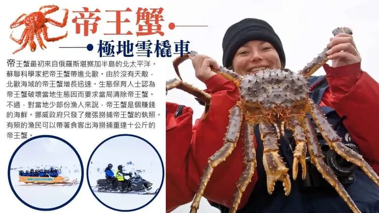 極地帝王蟹、雪橇車