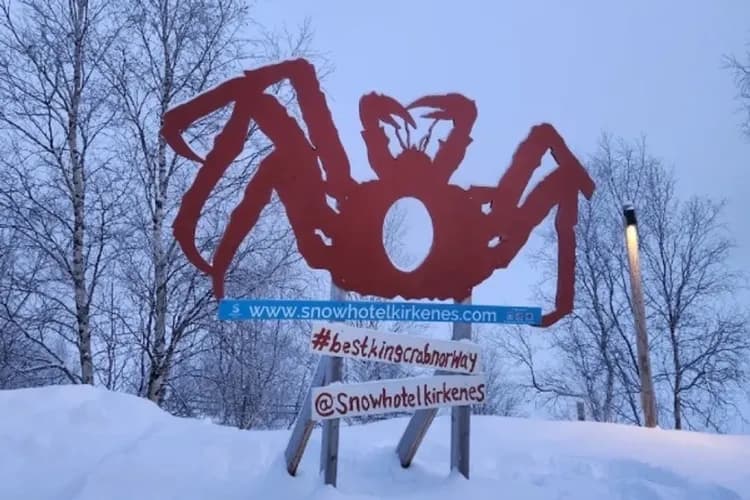 帝王蟹-極地帝王蟹、雪橇車