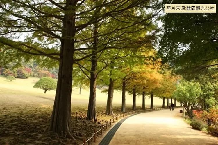 總統的後花園:青南台