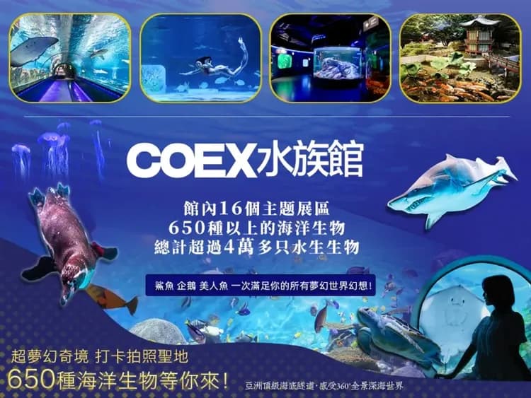 COEX水族館+星空圖書館+奉恩寺祈福