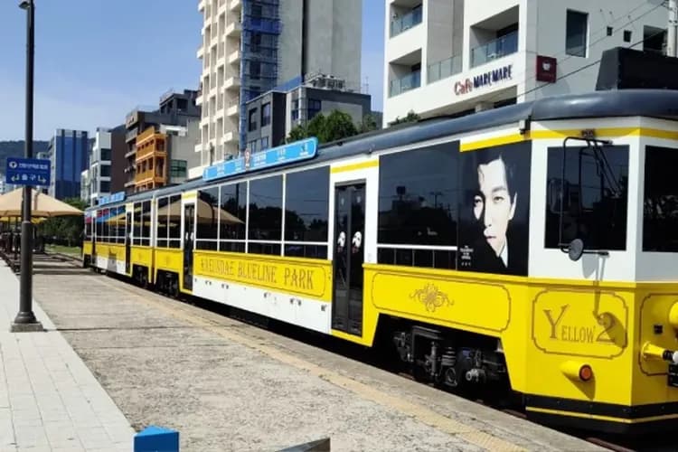 海岸觀光列車-海岸觀光列車(約10-15分鐘；單程)