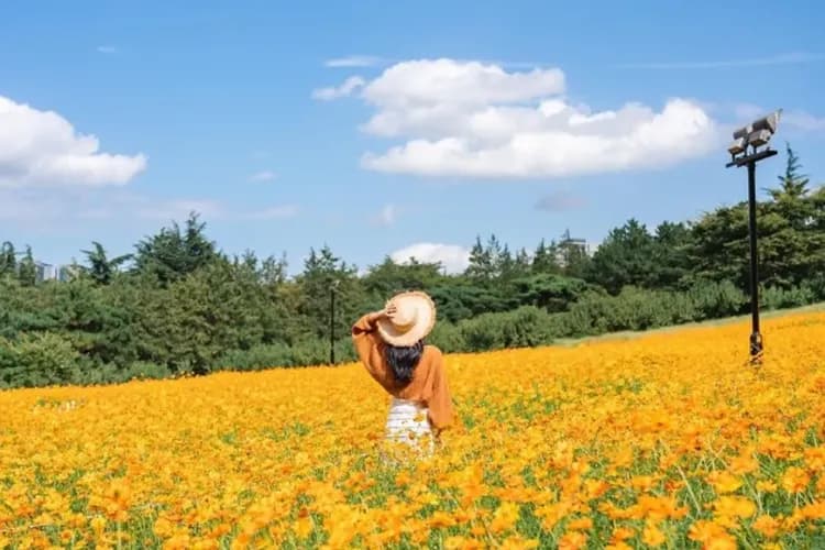 大邱E-WORLD樂園-大邱E-WORLD樂園(自由券)