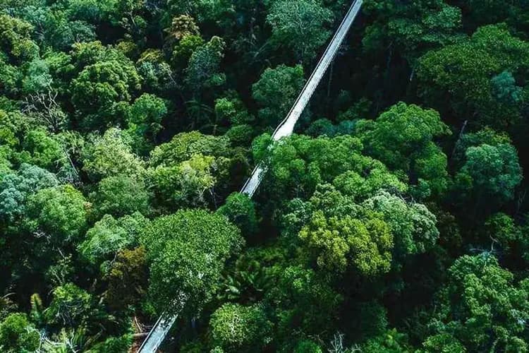 The Habitat自然生態公園+360度樹冠步道