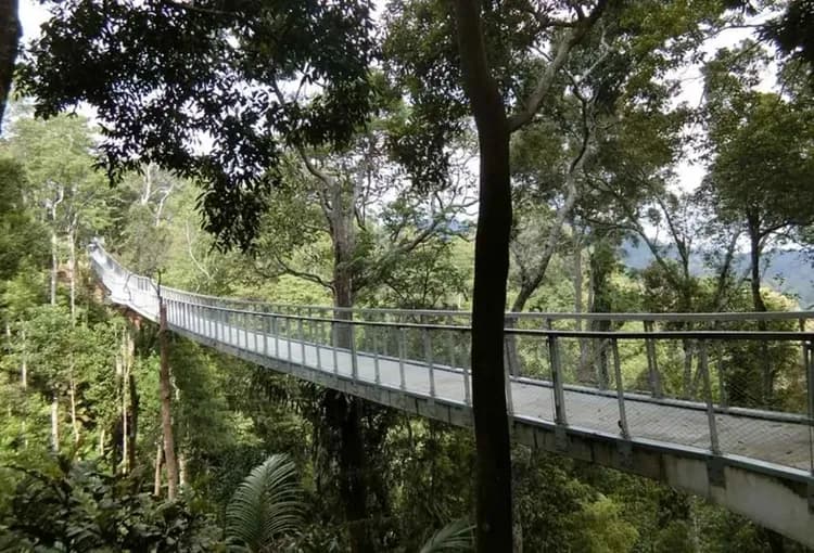 The Habitat自然生態公園+360度樹冠步道