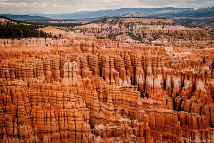 限GO美西三城～四大國家公園、五大私房祕境、賭城住宿兩晚、OUTLET購物九日-7