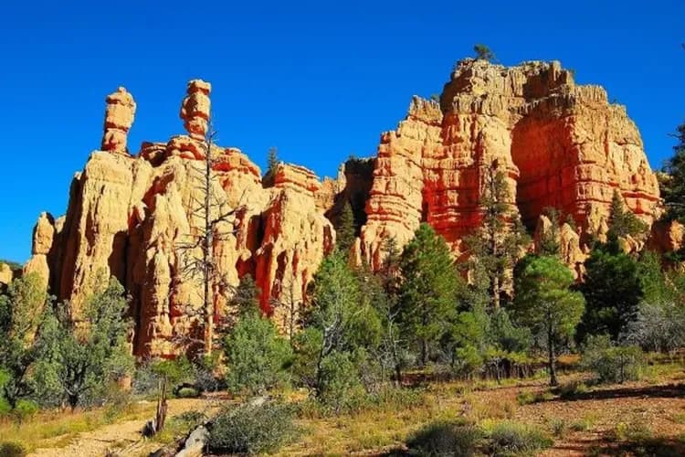 限GO美西三城～四大國家公園、五大私房祕境、賭城住宿兩晚、OUTLET購物九日-10