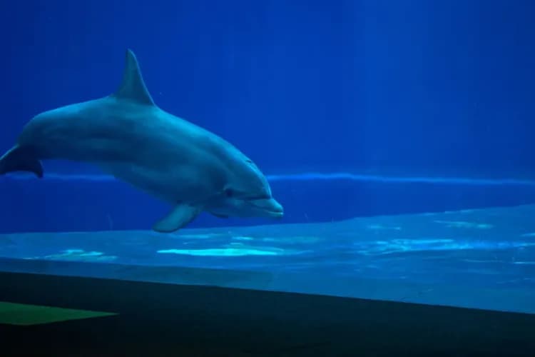 【MSC神女號郵輪、早鳥優惠】情定西地中海、巴塞隆納高第建築、馬賽港灣、龐貝古城11日-8