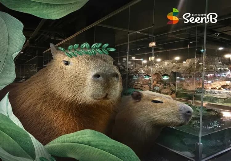 神祕動物園
