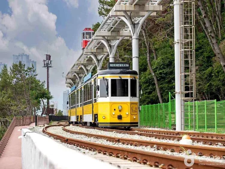 暑假折2千｜釜山輕鬆逛｜暑假親子首選～樂天世界樂園.炸雞主題公園【噹噹樂園】.斜坡滑車SKYLINELUGE.SEALIFE水族館5日-5