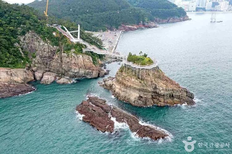 跨海美景～松島海上纜車(一般車廂來回)