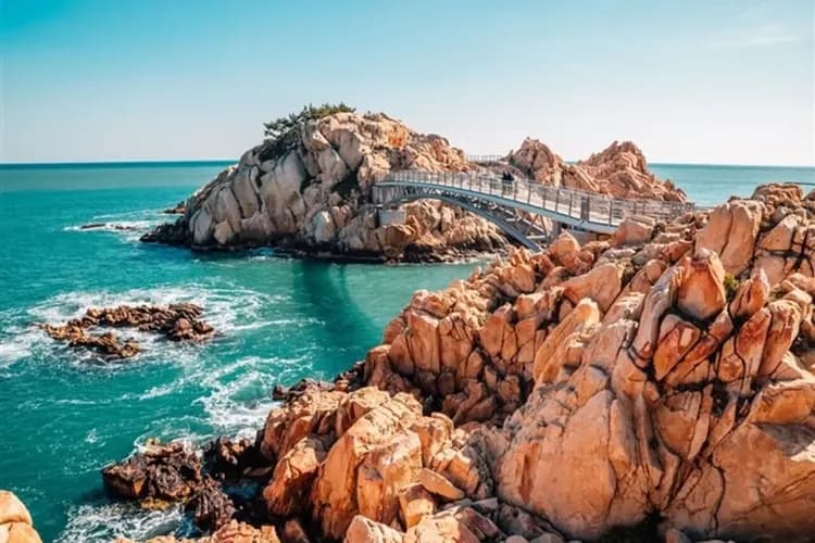 暑假親子遊｜釜山樂天探索樂園.水族館.加耶王國.松島海上纜車六日｜台中出發-6