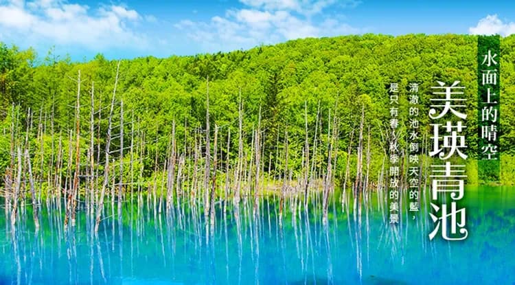 春遊促銷北海道│熱氣球、森林精靈露台、青池、旭山動物園、小樽、積丹半島、溫泉美食五日│二晚溫泉-5