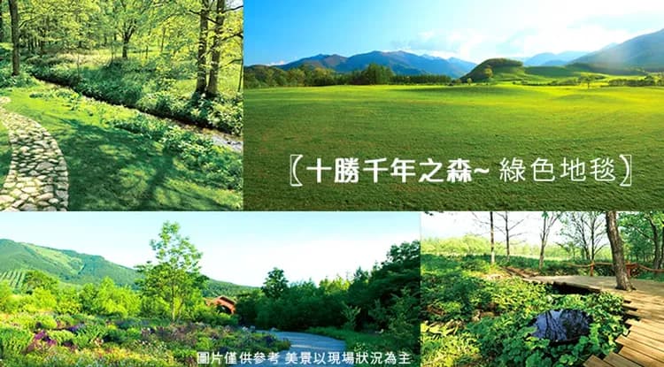 北海道旅遊｜無自理餐｜芝櫻花海.保住萬怡.上湧別鬱金香.平岡梅花.旭山動物園.熱氣球.阿寒湖遊船.小樽.螃蟹溫泉六日