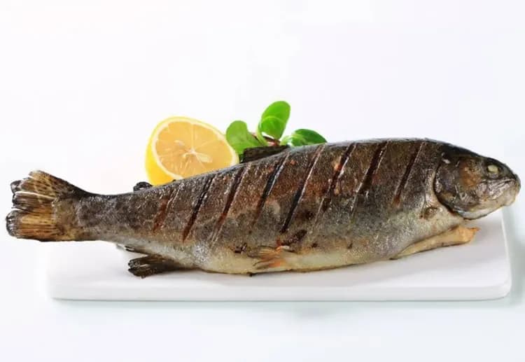 湖區鱒魚風味餐