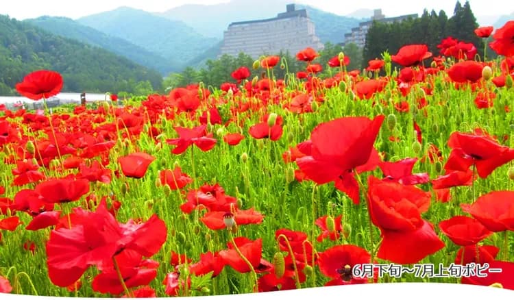 香草園