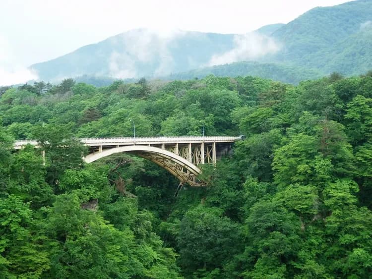 上櫃回饋｜專屬價｜銀山溫泉.四季花海.陸奧湖畔公園.絕美山寺.中尊寺.松島遊船.酒造.嚴美溪糰子.Outlet.溫泉【花仙/花花】-5
