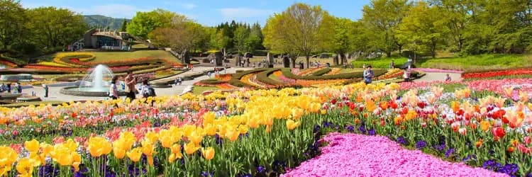 上櫃回饋｜專屬價｜銀山溫泉.四季花海.陸奧湖畔公園.絕美山寺.中尊寺.松島遊船.酒造.嚴美溪糰子.Outlet.溫泉【花仙/花花】