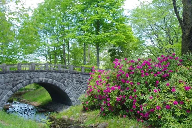 涼夏東北旅遊|奧入瀨溪散策.蕪嶋神社.角館.中尊寺.嚴美溪.陸奧湖畔花園.前澤牛會席料理.三晚溫泉.松島遊船五日