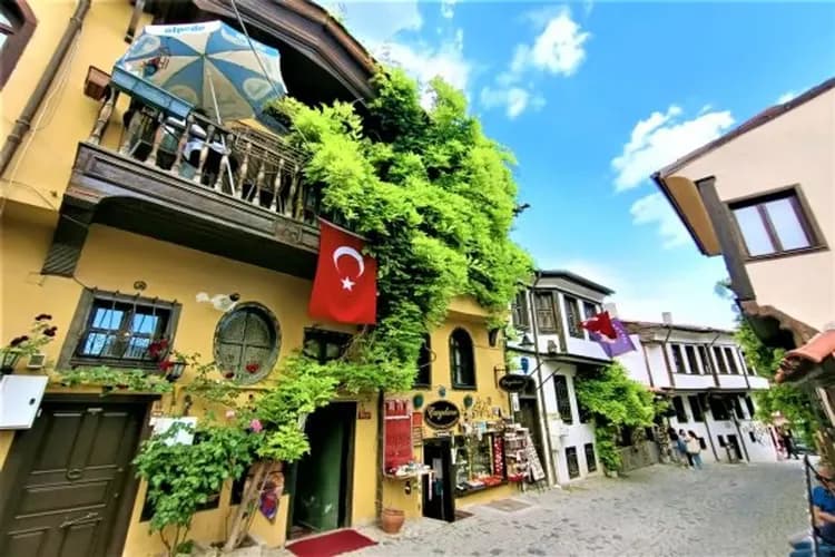 木頭歷史街區-海泡石之城-埃斯基謝希爾