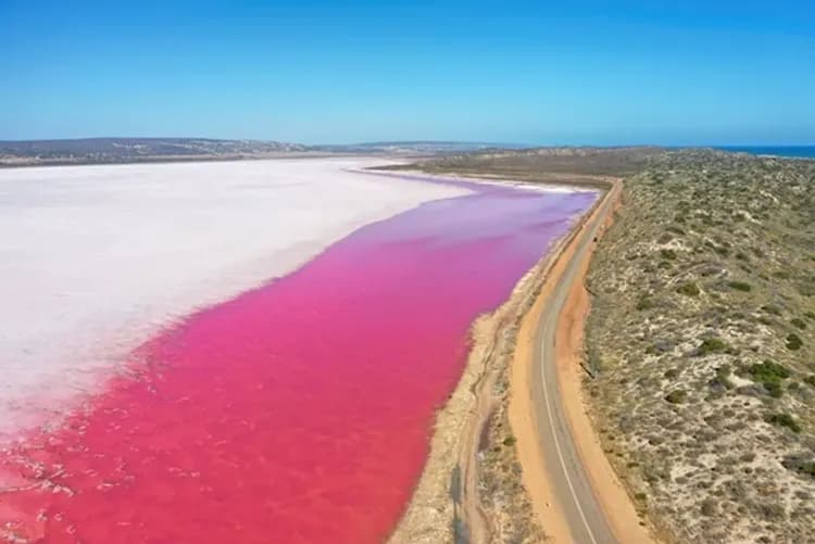 Pink Lake