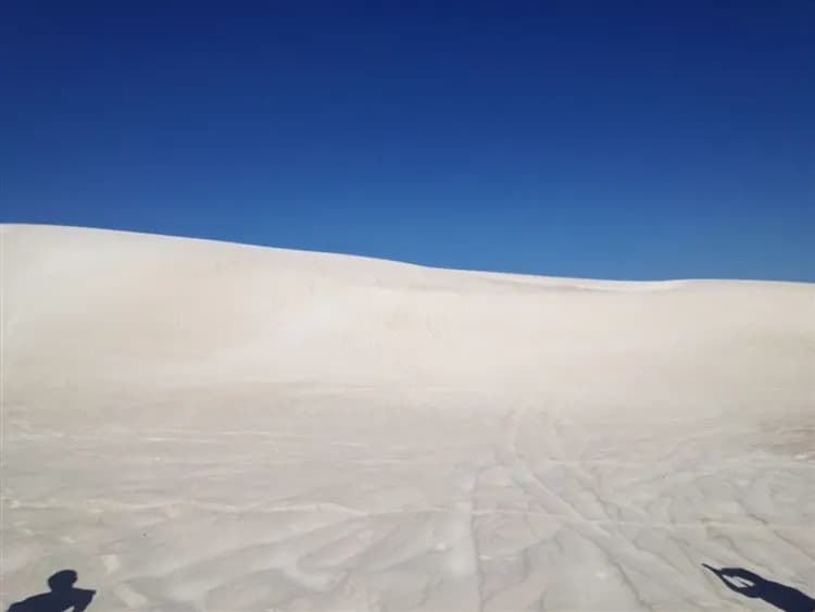 西澳旅遊｜《小孩不佔床扣一萬》夢幻粉紅湖·龍蝦饗宴·百年微醺酒莊·尋找微笑袋鼠·沙丘滑沙·尖峰石鎮·經典悠遊8日-6