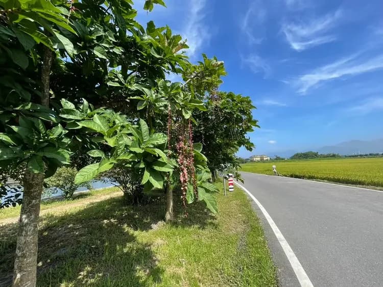 漫調子民宿 l 宜蘭6-10人包棟-20