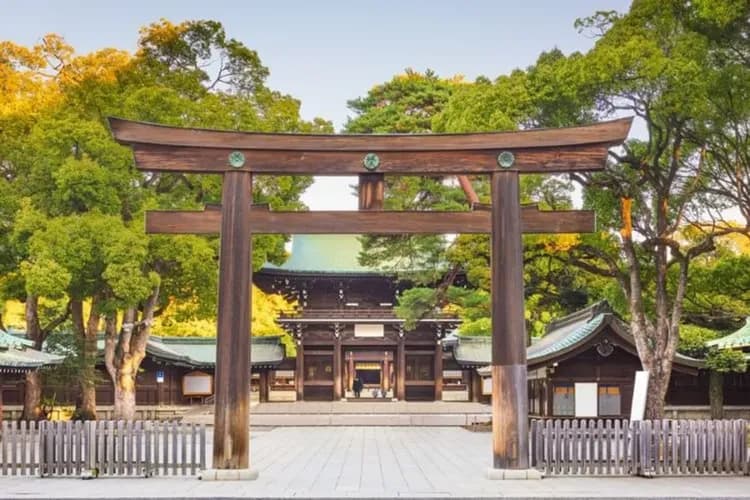 明治神宮丨日本最大木造鳥居