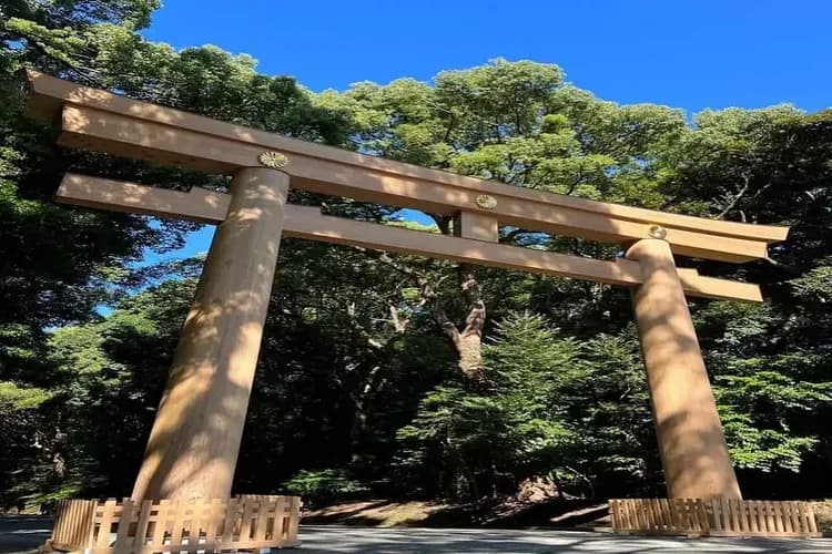 @blackberry.4919-明治神宮丨日本最大木造鳥居