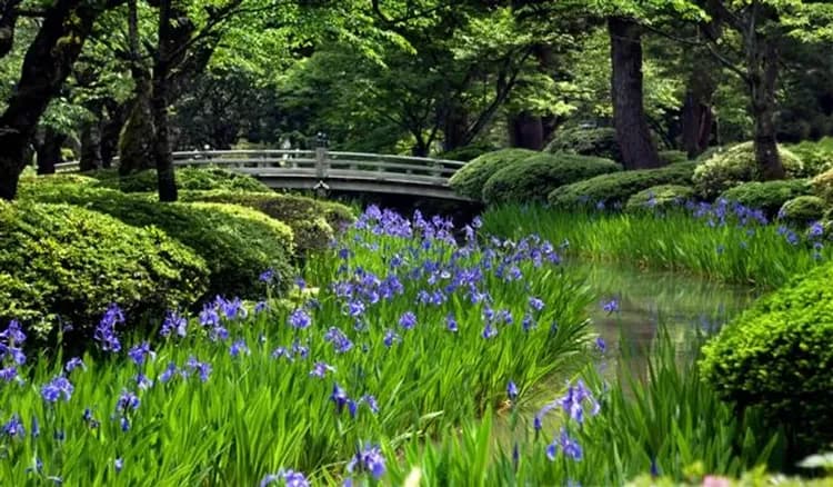 金澤兼六園(日本三大名園)