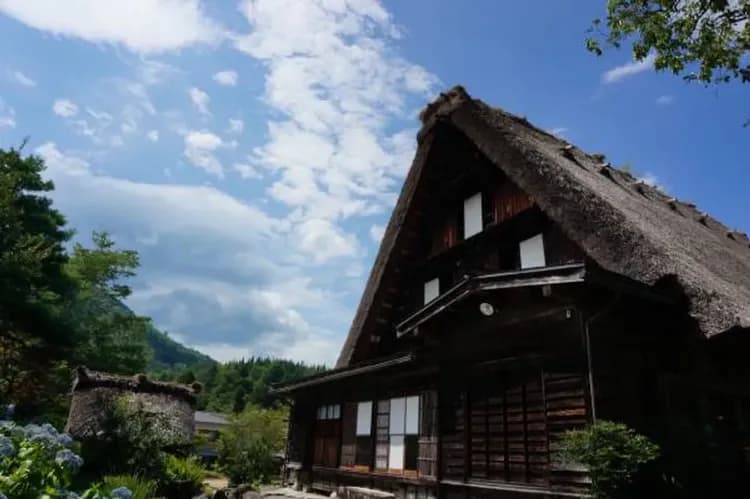 瑰麗山海號列車～立山黑部、牧歌之里花園、犬山城合掌村、五星之宿飛驒廣場飯店五日-7
