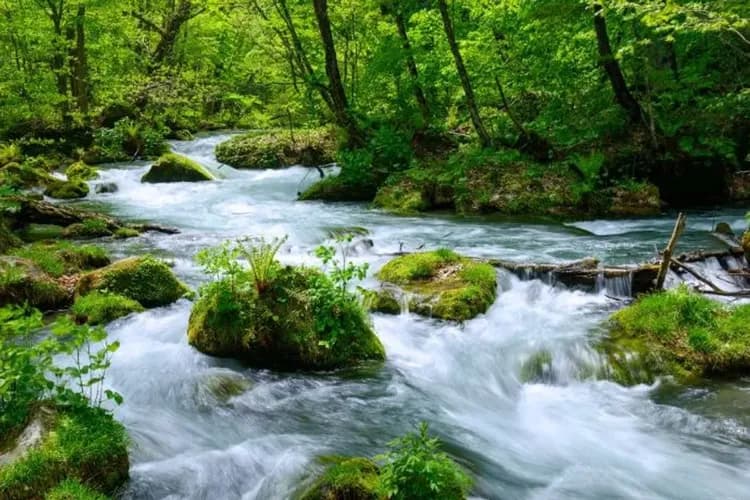 東北仙境傳說～奧入瀨中尊寺、青森地方漫遊、松島銀山溫泉、秋田縱貫鐵道六日-8