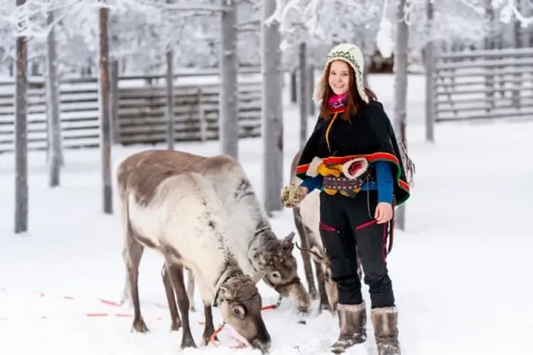 馴鹿-自然生態旅行