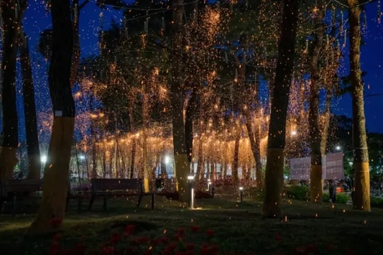 世宗落火遊戲慶典