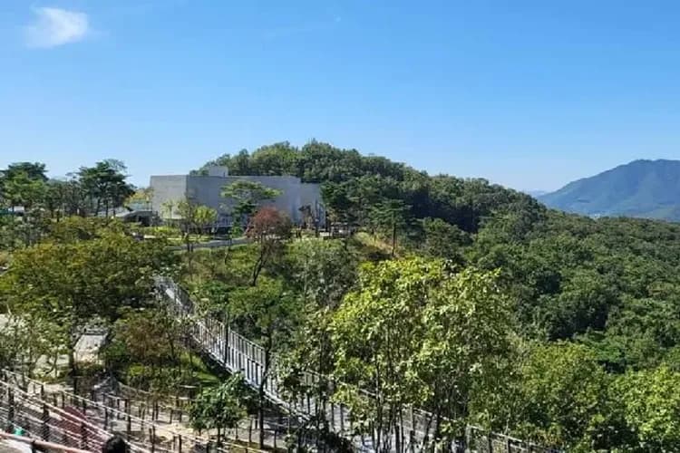 眺望神秘北韓：愛妓峰公園+星巴克咖啡