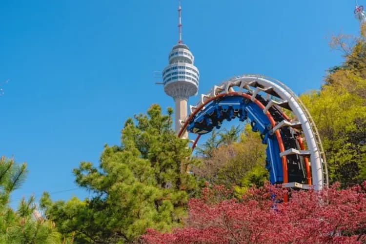 大邱E-WORLD樂園-E-WORLD樂園(空中纜車+83塔觀景台+樂園自由券)