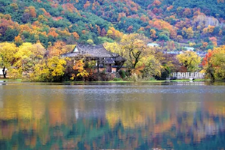密陽位良池-密陽之美