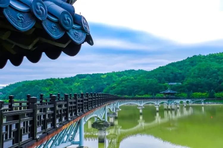 釜邱發燒賣～安東河回村、密陽風情漫遊、海岸觀光列車、韓屋烤肉餐廳五日