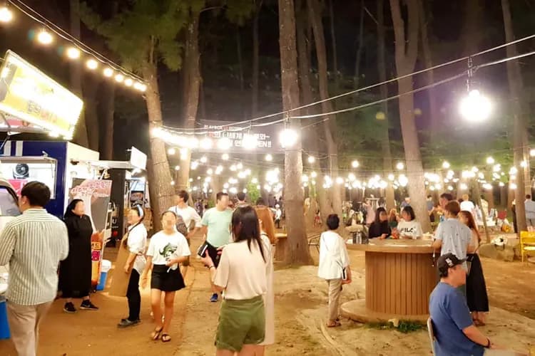 濟州好好玩～神話世界樂園、賞黃金油菜花、水之幻境藝術、五星藍鼎酒店五日-7