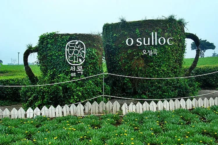 雪綠茶園：李敏鎬、潤娥廣告拍攝地